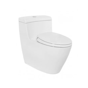 Bồn cầu 1 khối TOTO MS636DT2