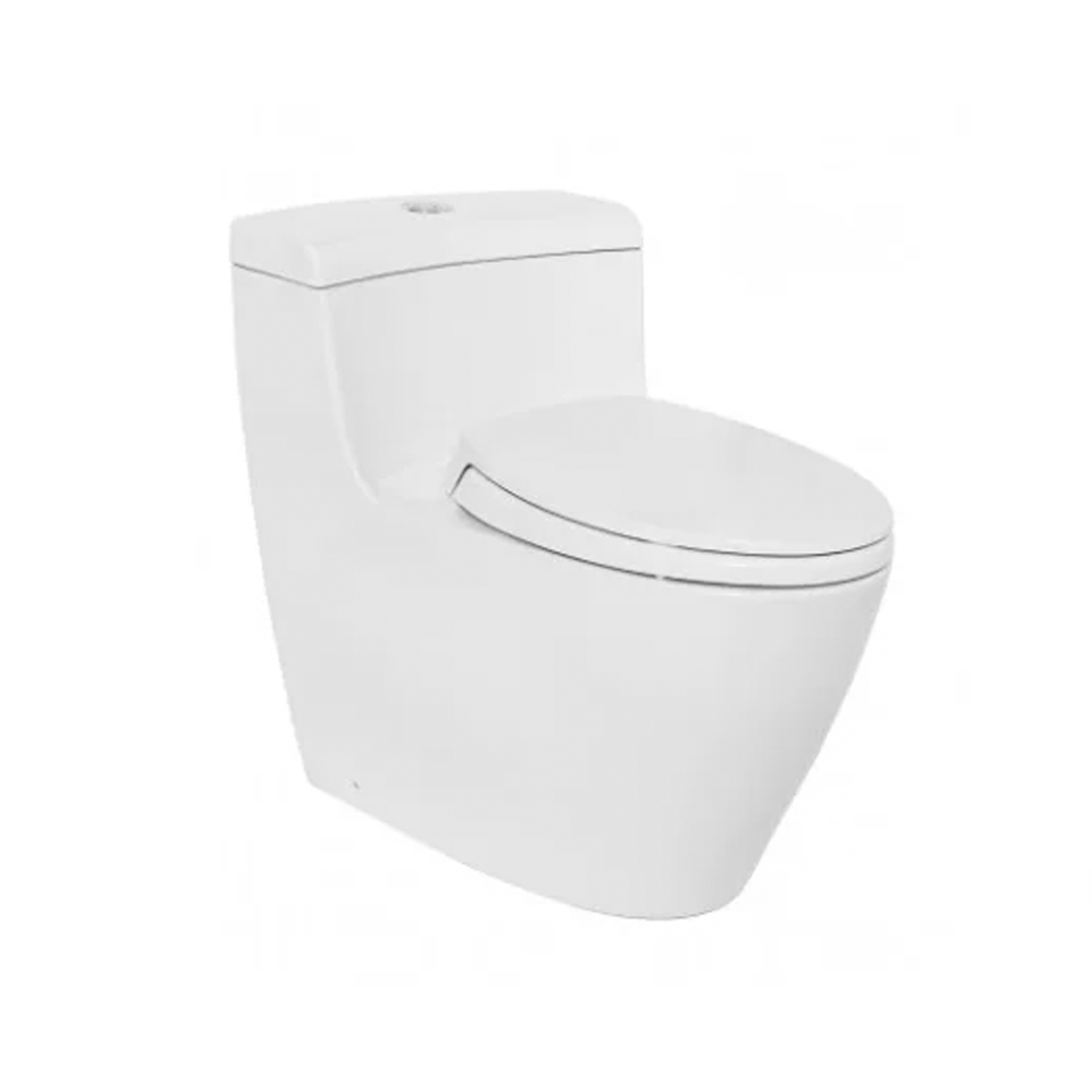 Bồn cầu 1 khối TOTO MS636DT2